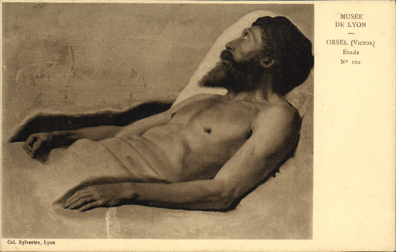 VINTAGE POSTCARD Museum Of Lyon Orsel Details