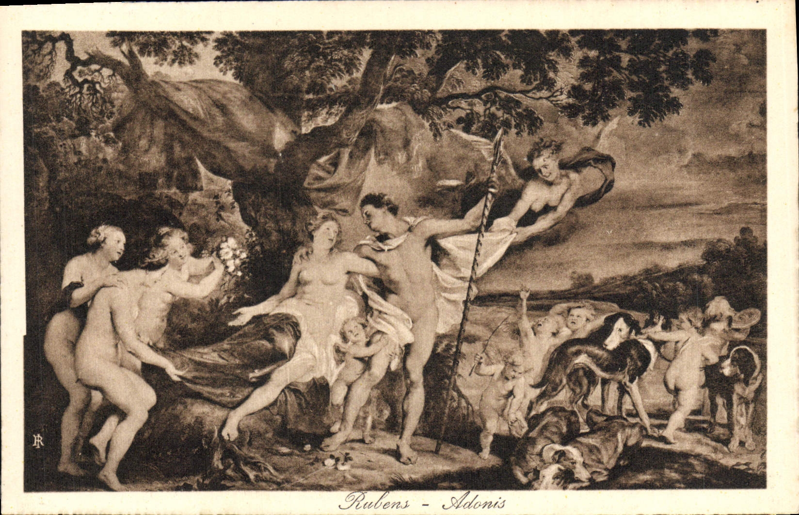 VINTAGE POSTCARD Rulens Adonis