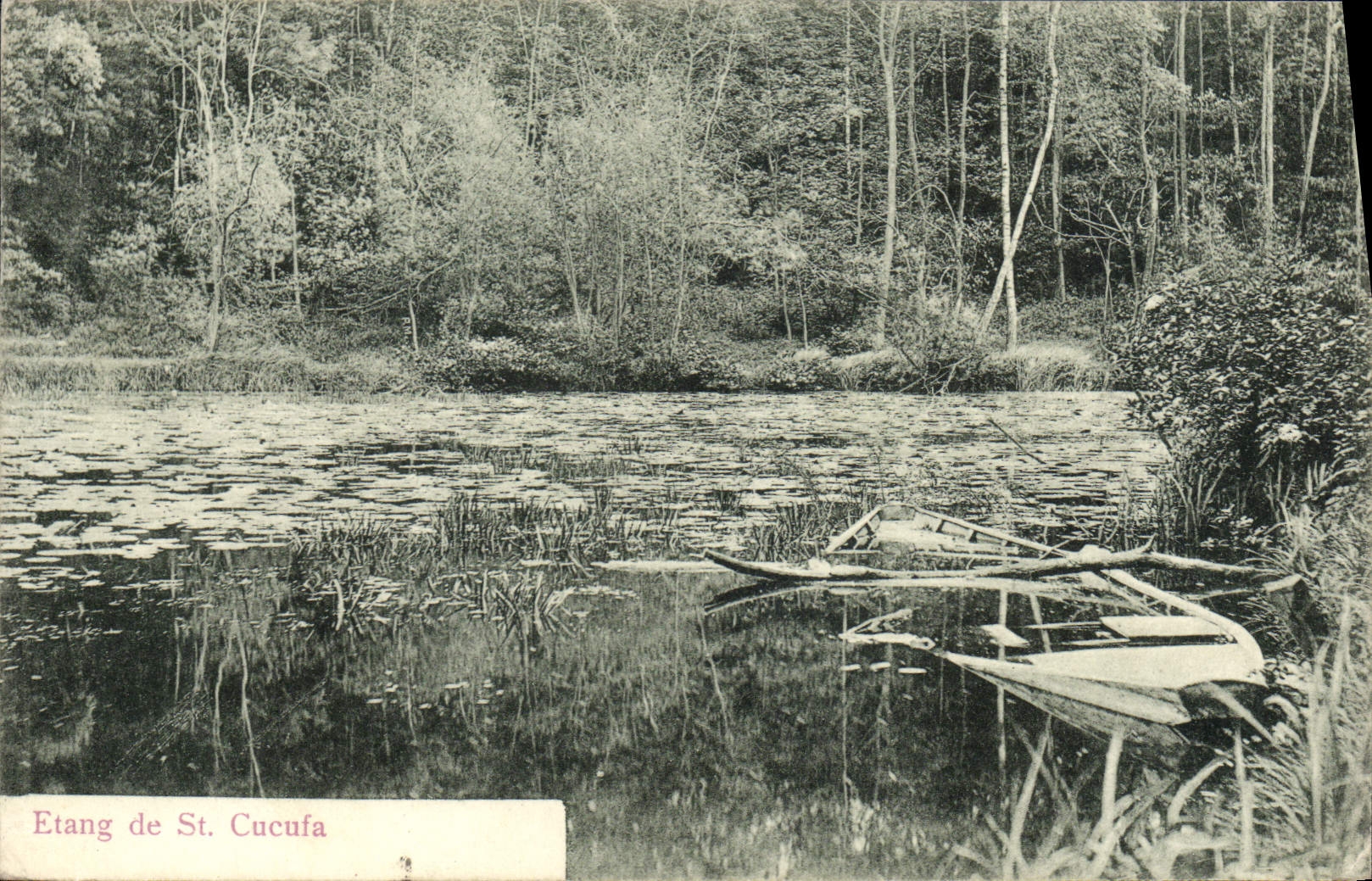 Charca de la POSTAL de la VENDIMIA de St Cucufa