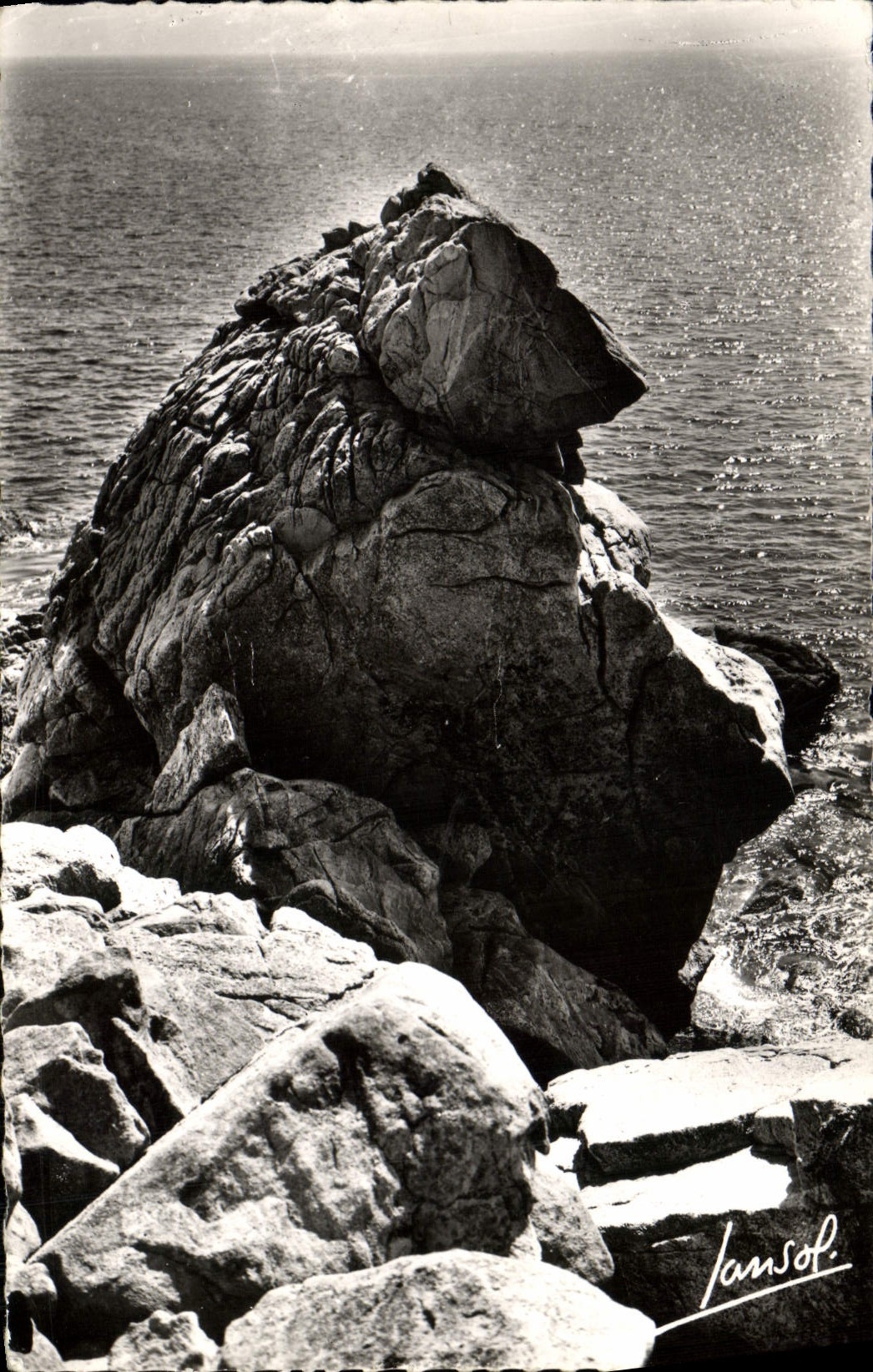 VINTAGE POSTCARD the Dimension of Love Croisic the Great Dimension the Polar bear