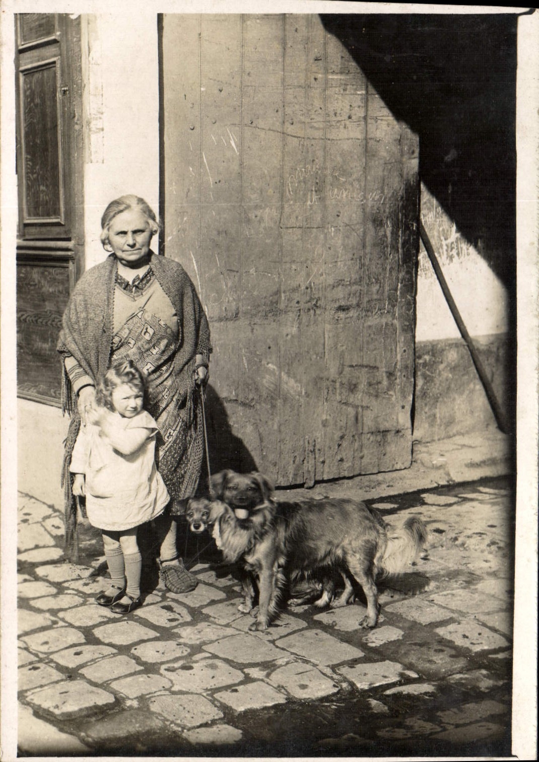 CARTE PHOTO Grand mere Enfant et cheins 