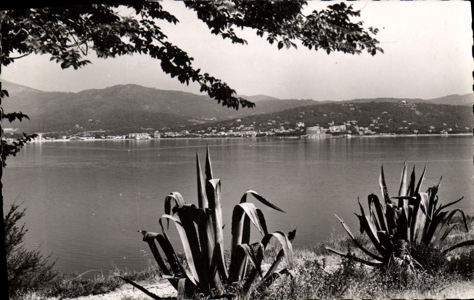 MODERN CARD Holy Tropez Seen On MSte Maxime And the Gulf Of St Tropez