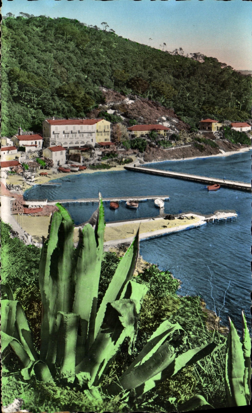 POSTAL MODERNA de la isla del oro de la raza a campo través portuaria el mesón portuario y de moda del país