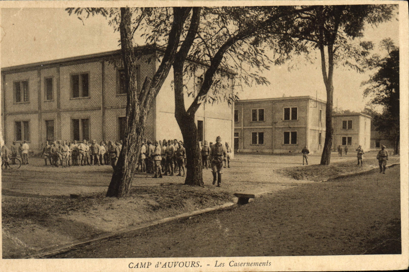 Campo de la POSTAL de la VENDIMIA de Auvours Quarterings