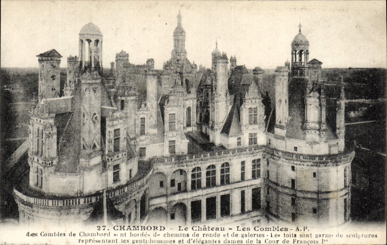 VINTAGE POSTCARD Chambord the Castle Roofs
