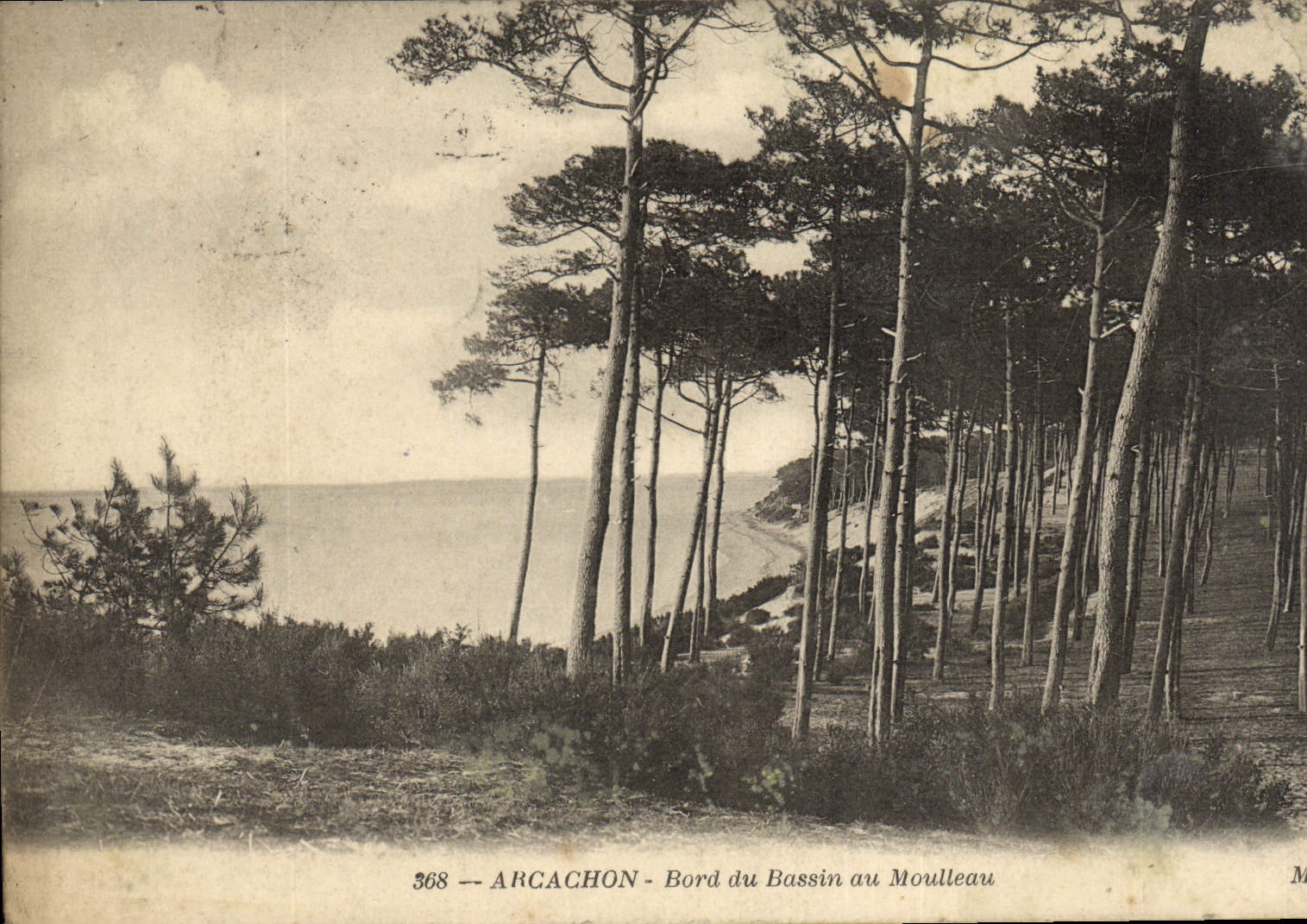 VINTAGE POSTCARD Arcachon Edge Of the Basin In Moulleau