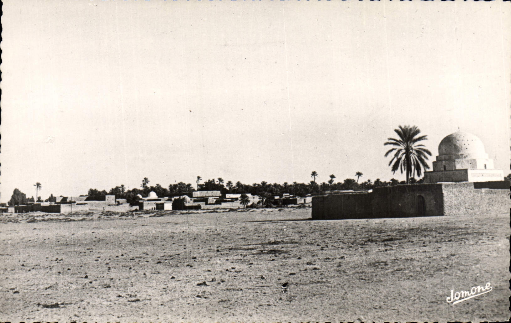 CPM Scenes Et Types Oasis Et Palmeraie