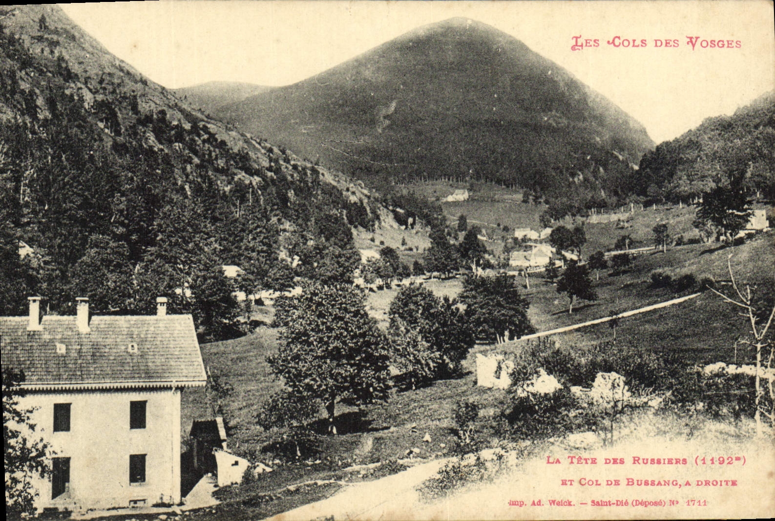 VINTAGE POSTCARD Collars Of the Vosges the Head Of Russiers and collar of Bussang on the right