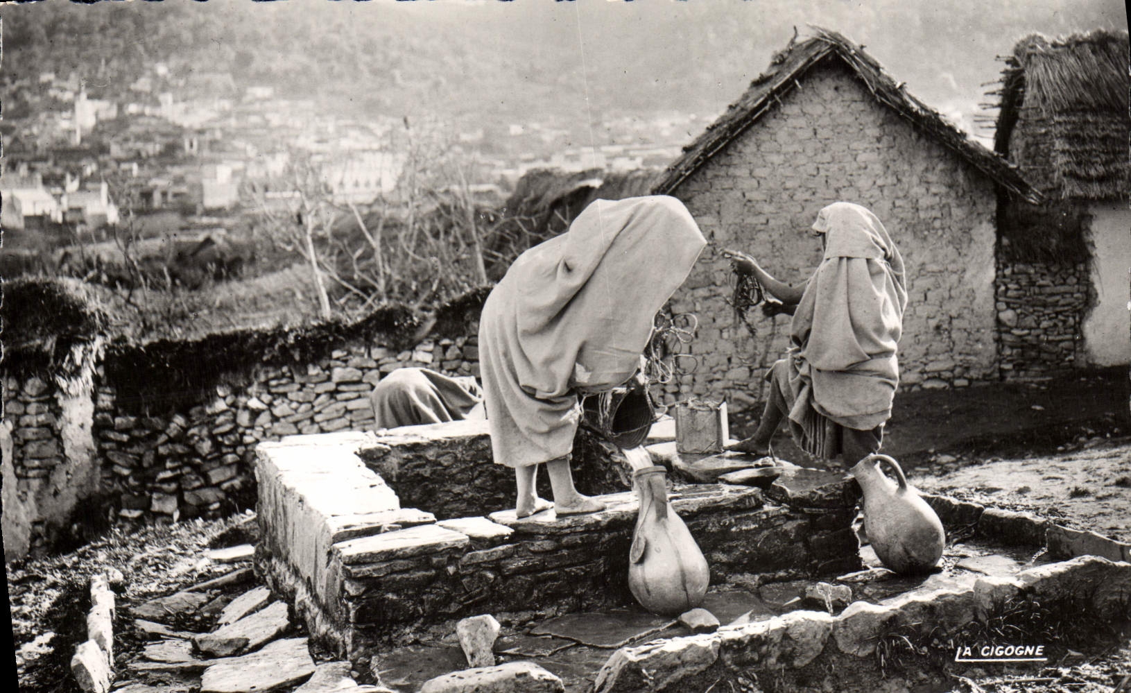 CPM Scenes Et Types Puits Arabe