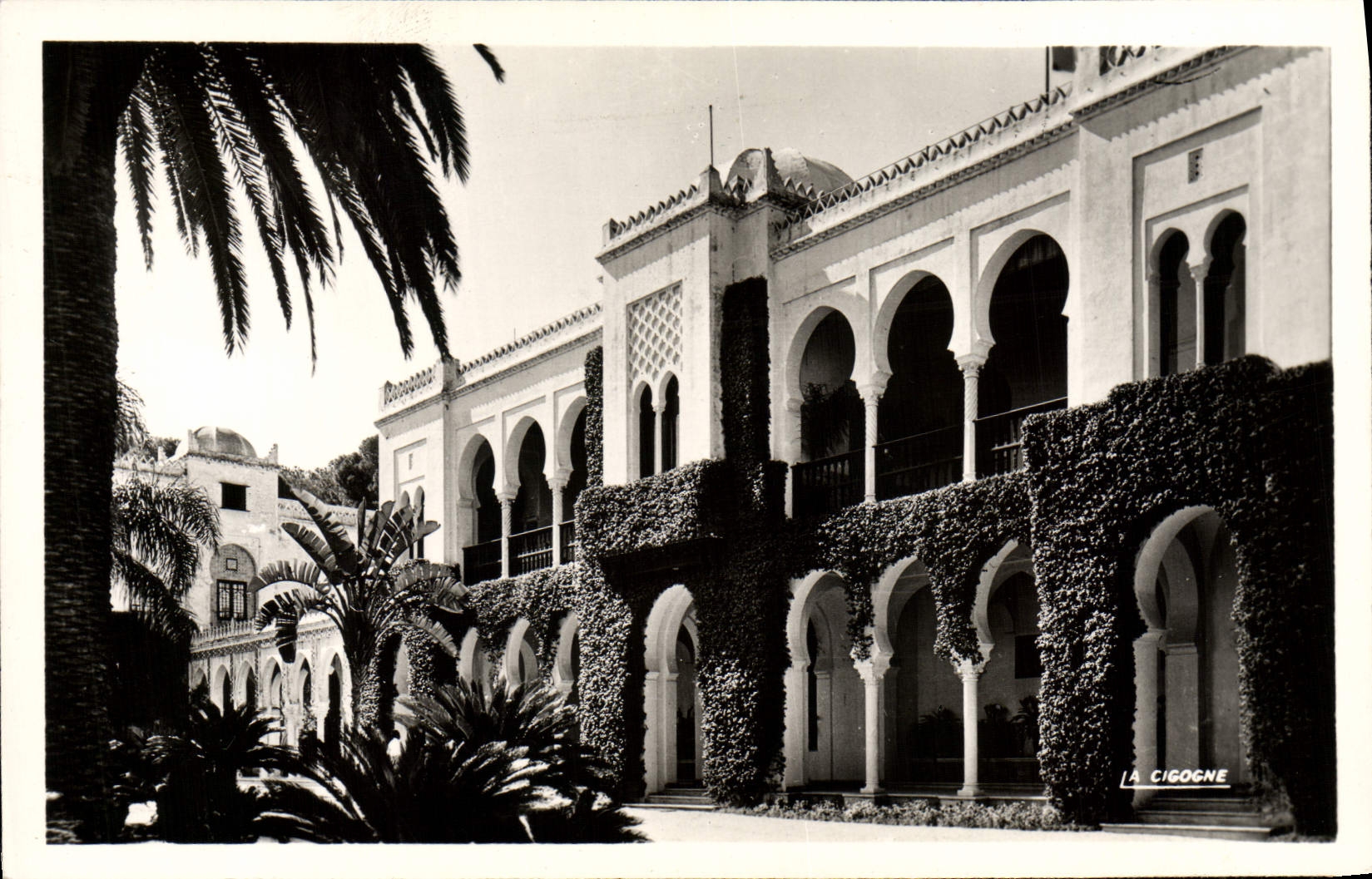 POSTAL MODERNA Argel el paladar del verano de Sr. el gobernador general