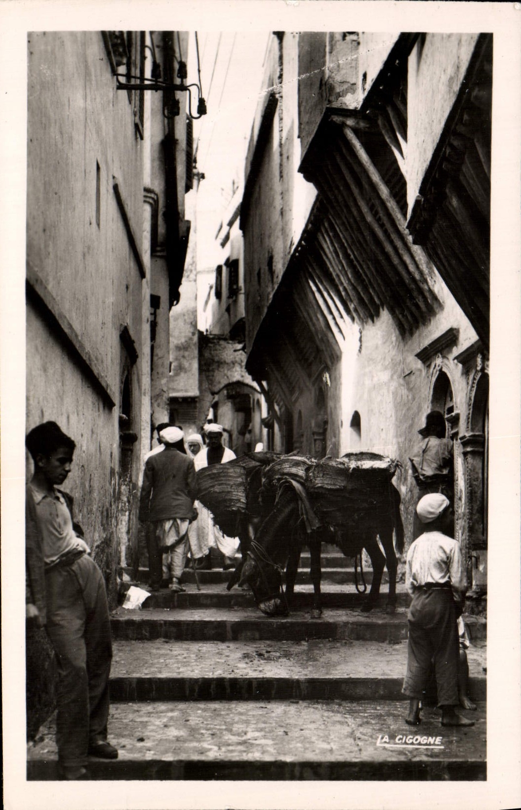 POSTAL MODERNA mula del asno de Fissah de la calle de Argel Kasbah