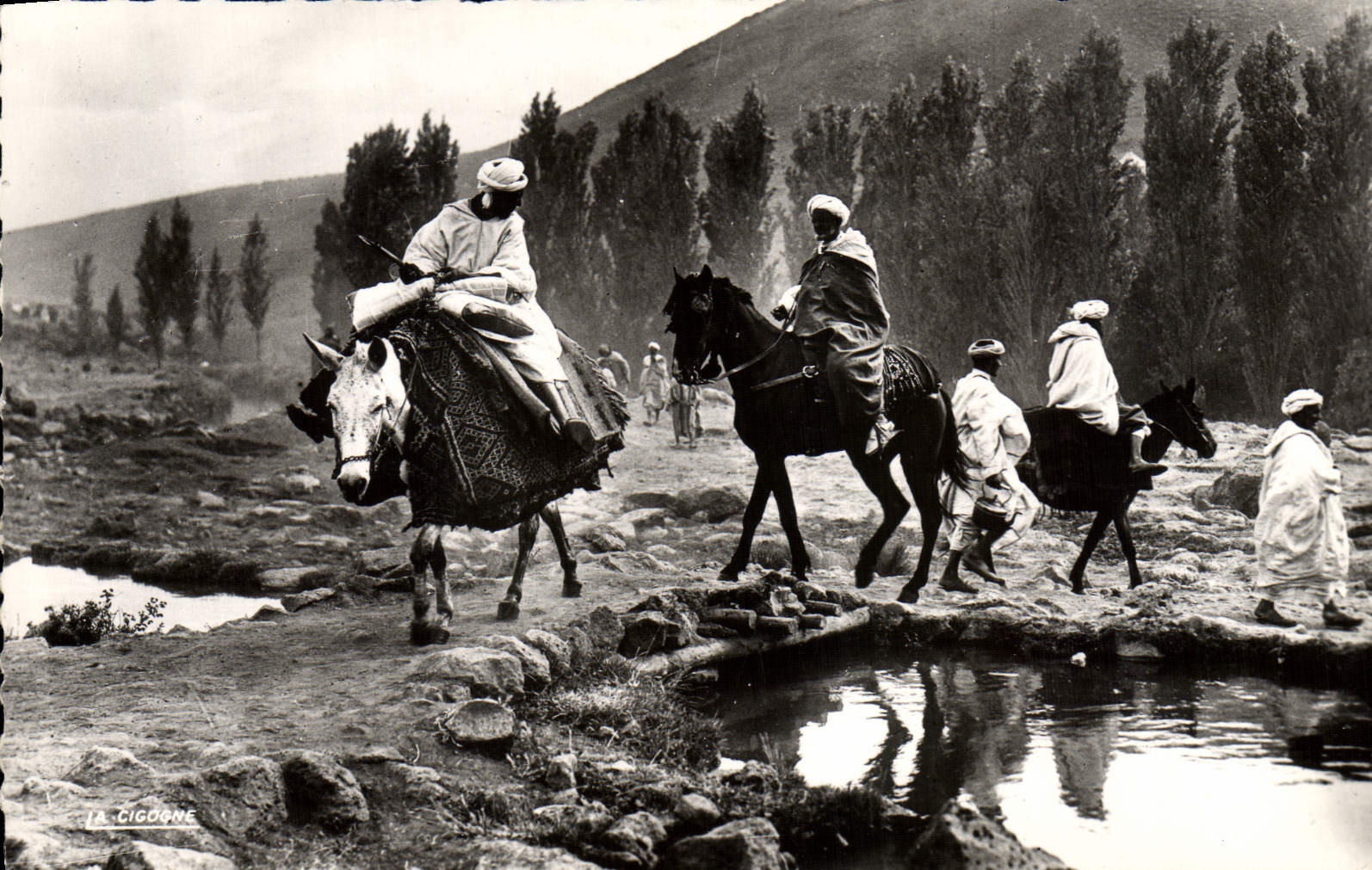 CPM Scenes Types En Route Pour Le Souk Anes