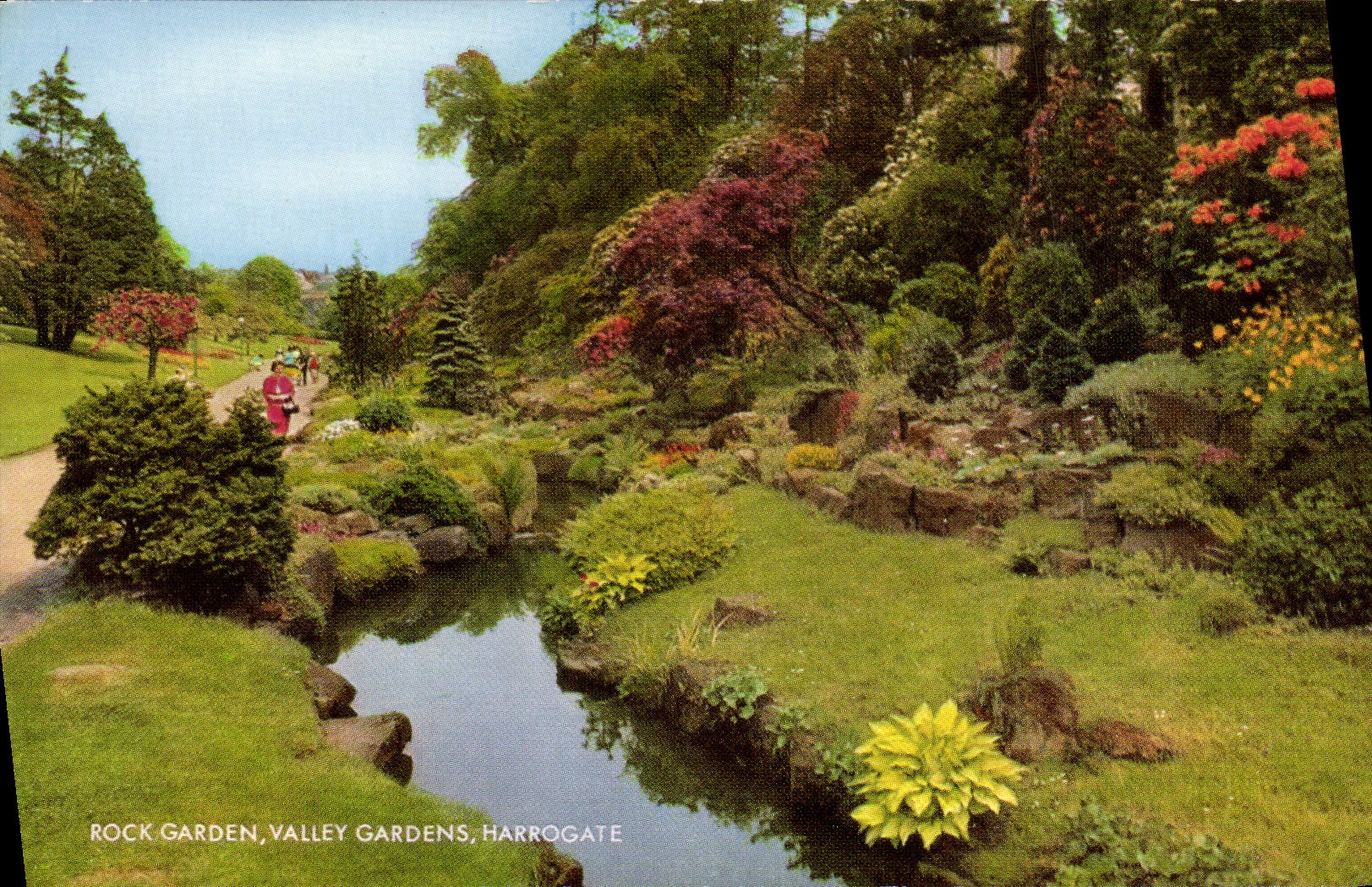 MODERN CARD Rock'n'roll Garden Valley Gardens Harrogate