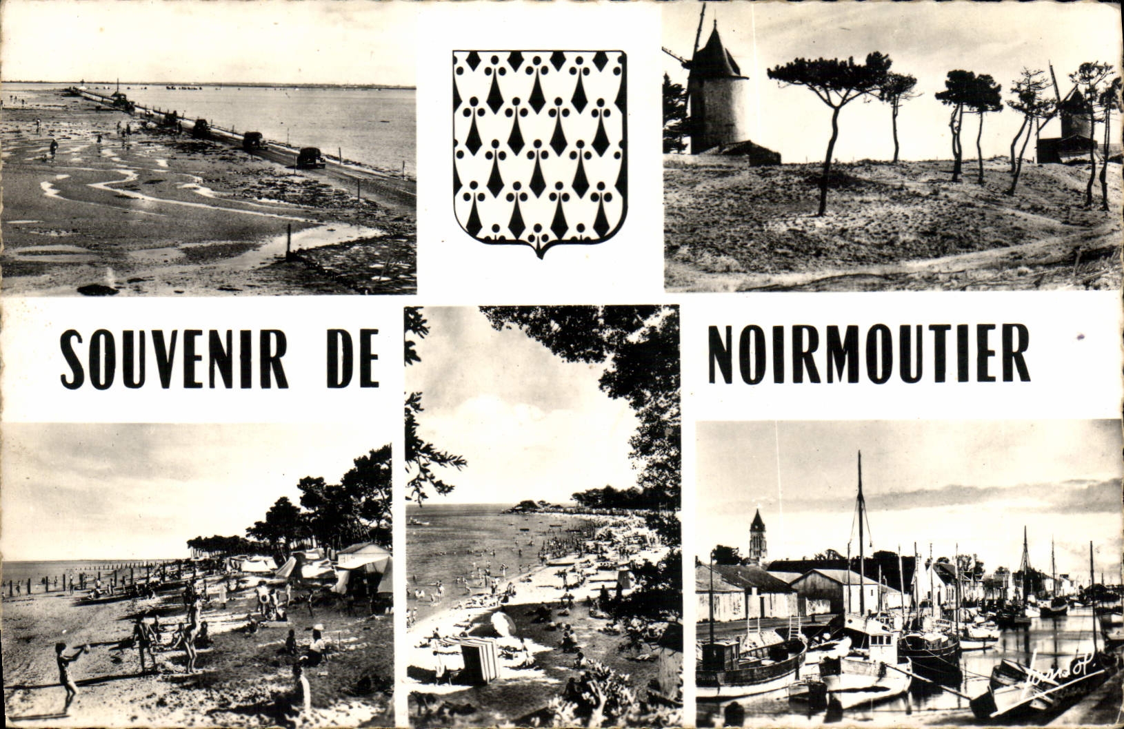 CPM Souvenir de Noirmoutier 