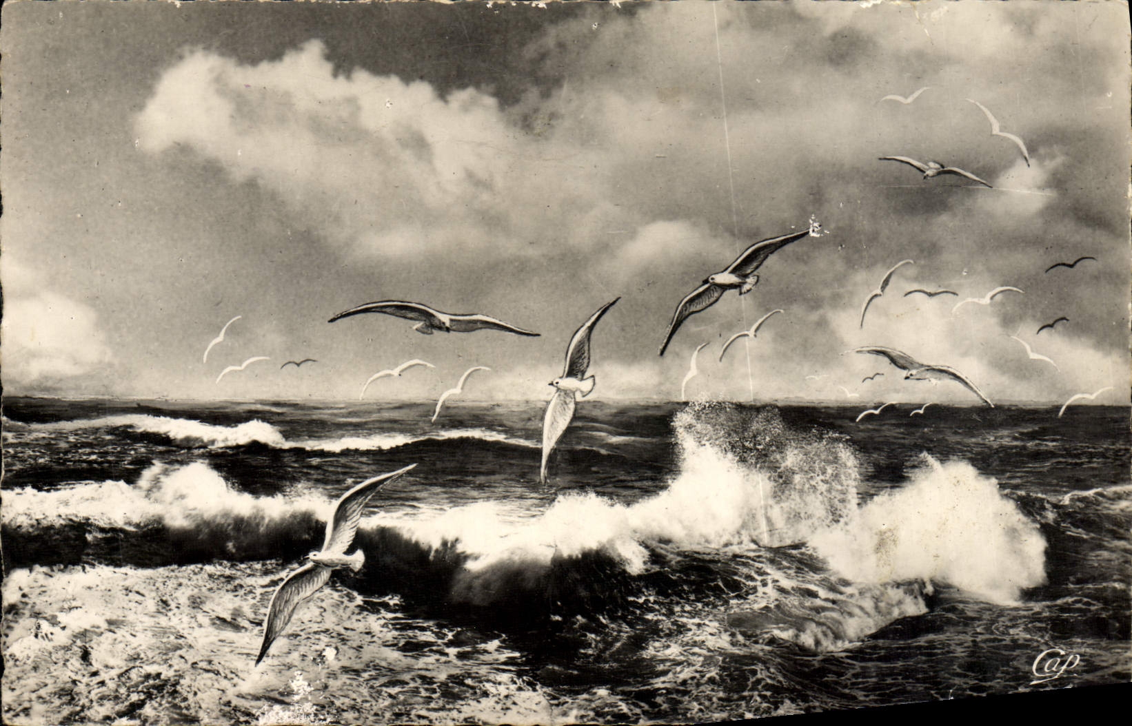 MODERN CARD Granville Flight of Gulls On the Sea