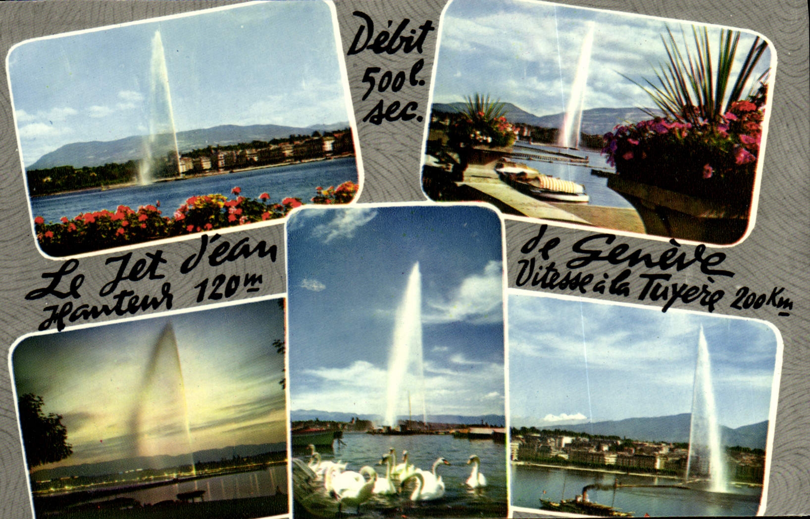 CPM Geneve Le jet d'eau Cygnes