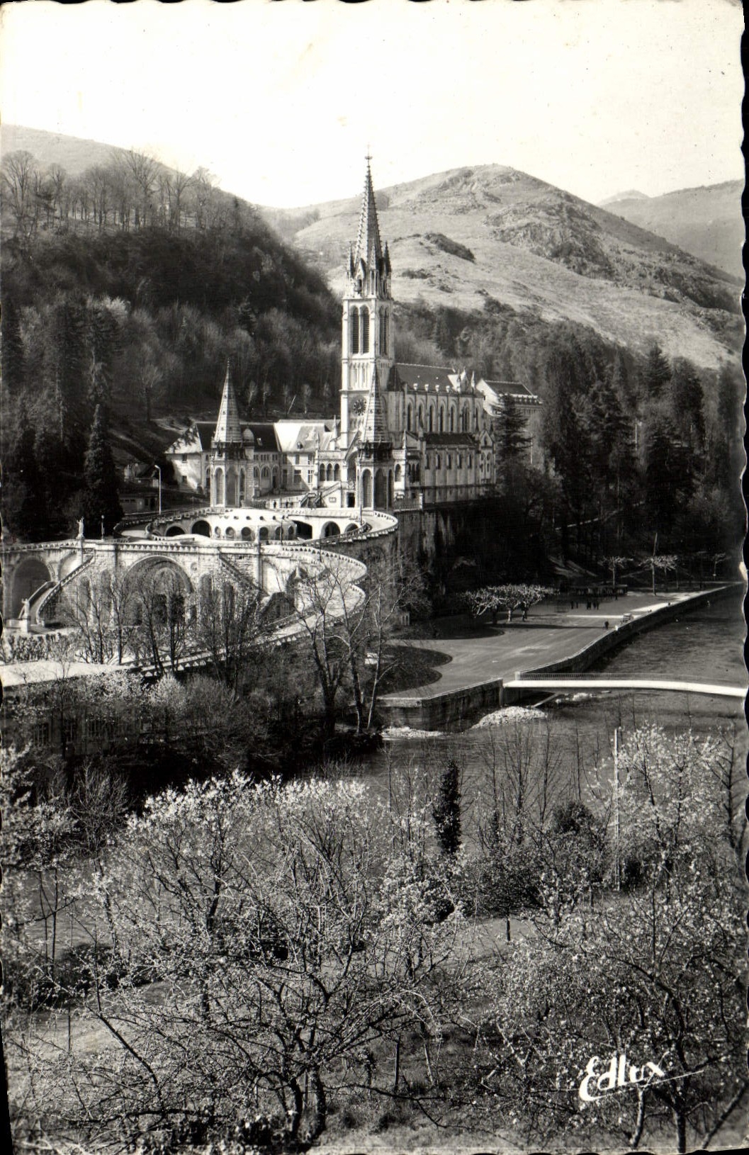 MODERN CARD Heavy the Basilica Gave