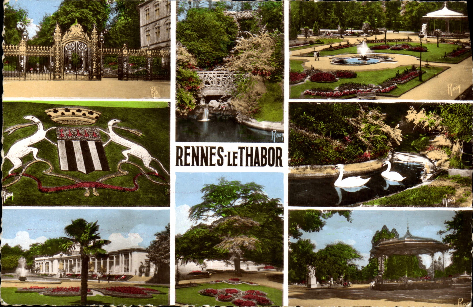 MODERN CARD Rannes the Garden of Thabor