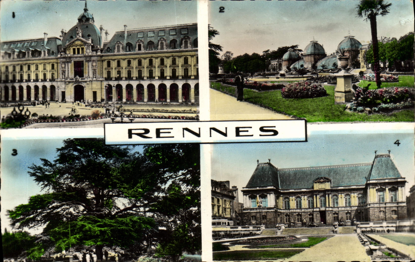 CPM Rennes Le Palais du Commerce Jardin Anglais du thabor Cedre