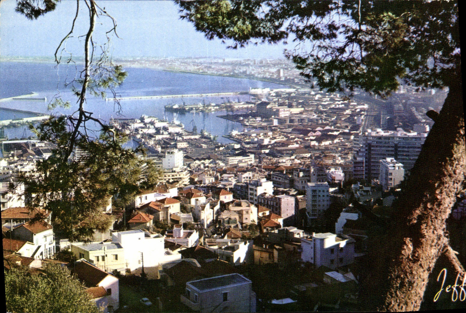 CPM Alger Vue Panoramique