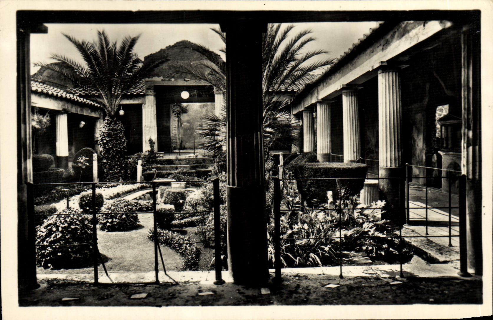 La POSTAL Pompeya de la VENDIMIA puso dorati del amorini del degli