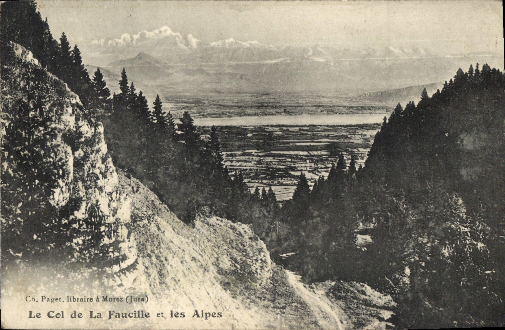 VINTAGE POSTCARD the collar of the Sickle and the Alps