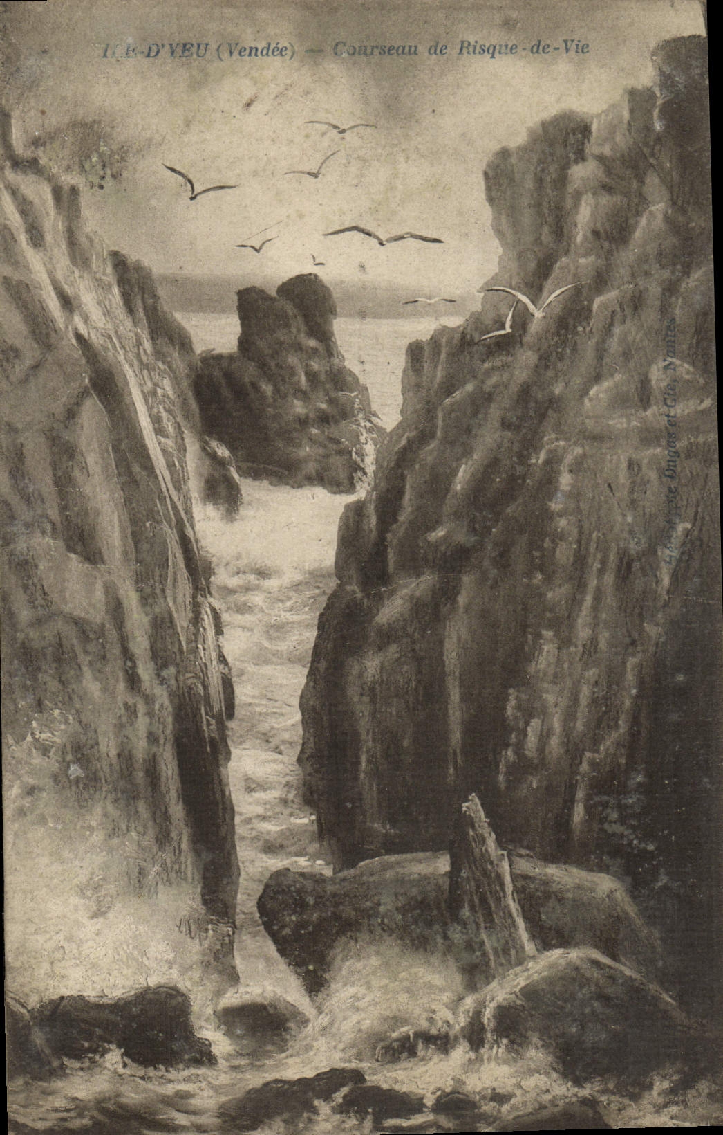 VINTAGE POSTCARD Island of Yeu Courseau de Risque with the Life