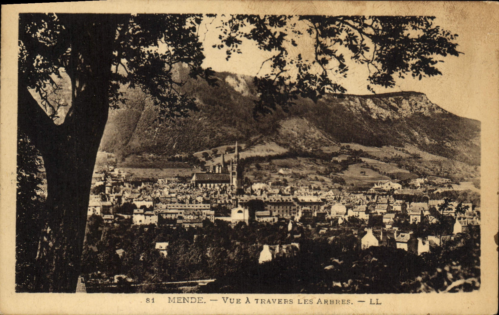 VINTAGE POSTCARD Mende Seen Through the Trees