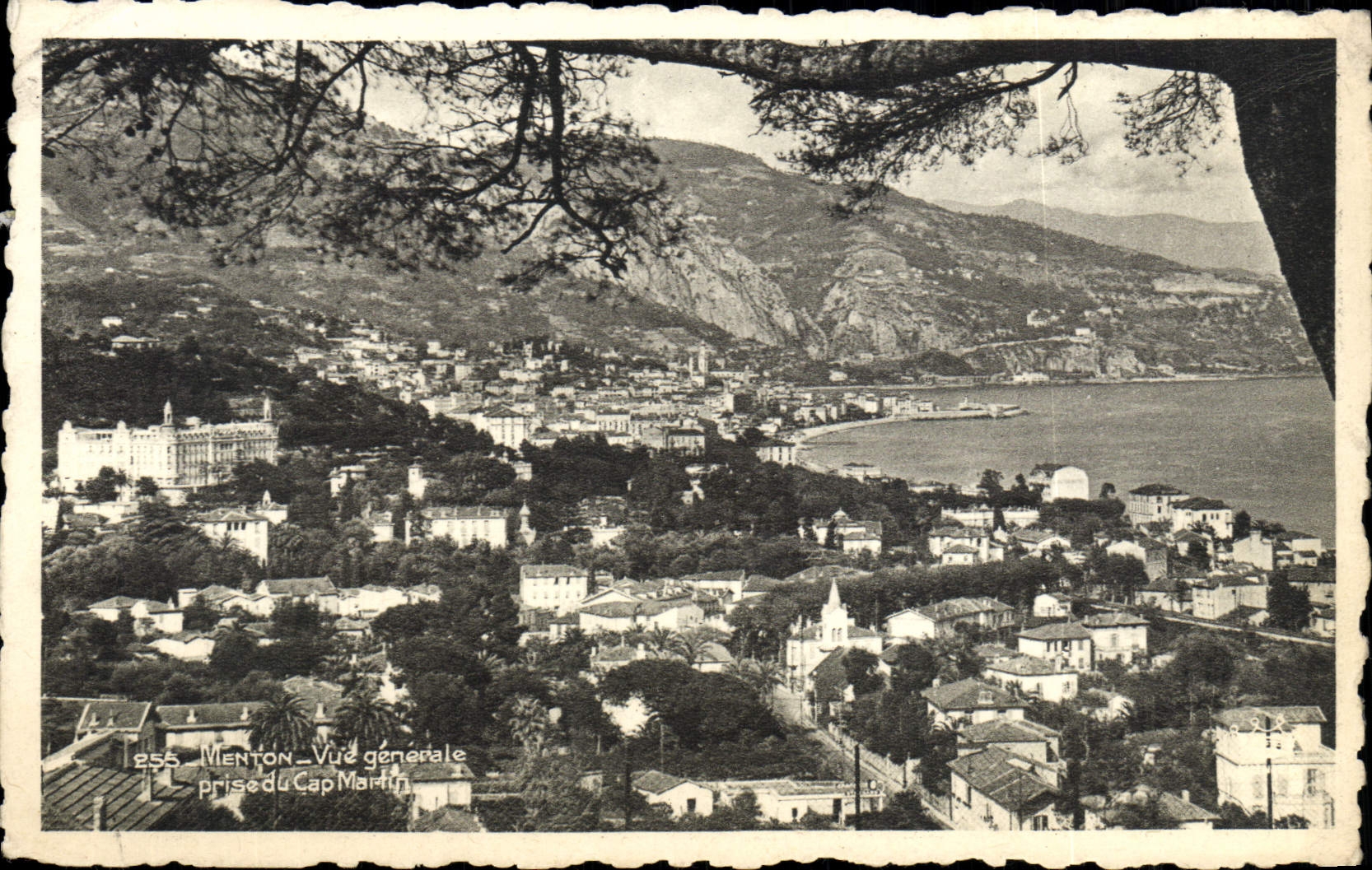CPA Menton Vue generale prise du Cap Martin 