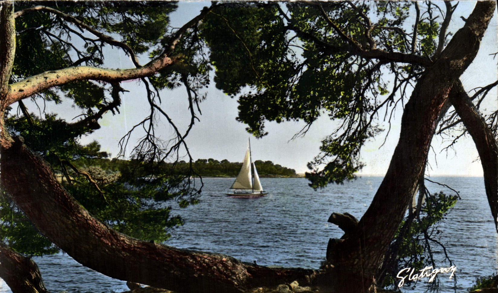 CPM Ile Saint Marguerite Au Loin Ile Saint Honorat