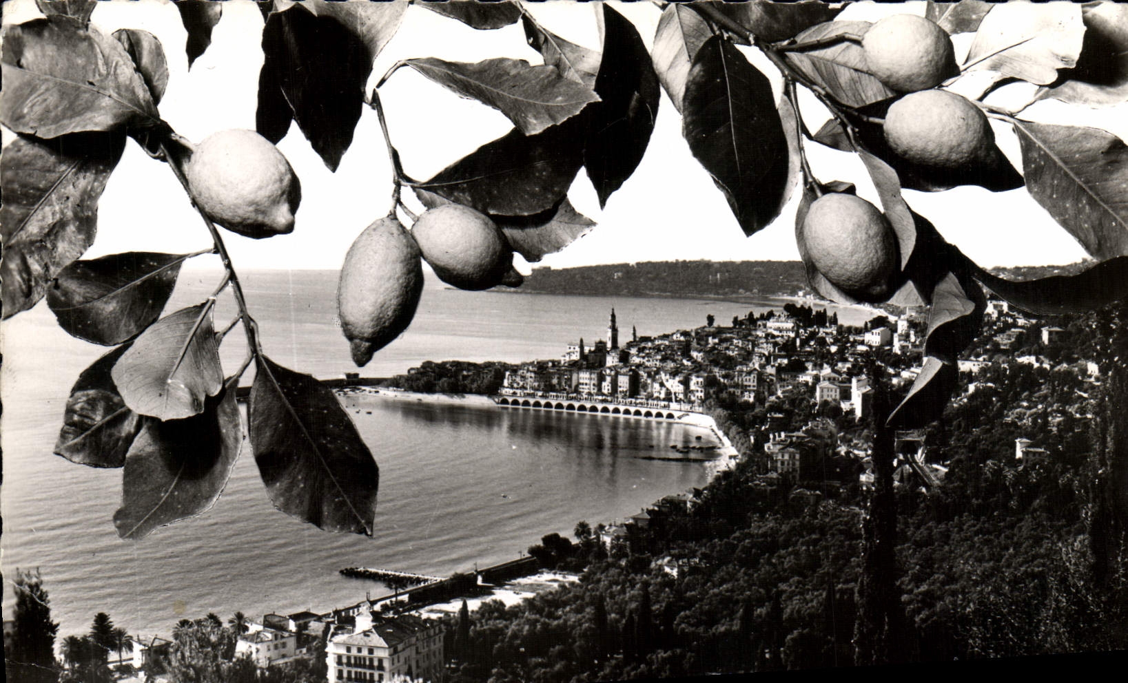 CPM Menton Vue Generale Au fond le Cap Martin
