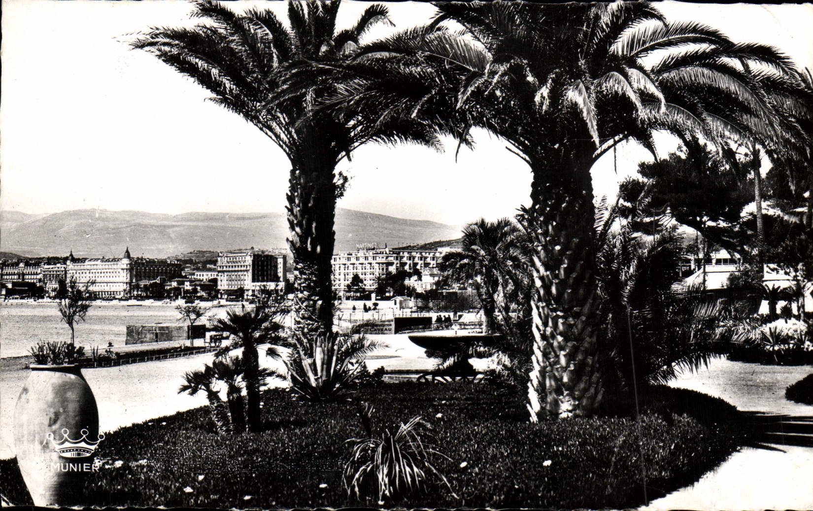 CPM Cannes Vue sur Les Hotels Prise Du Jardin Albert 1er