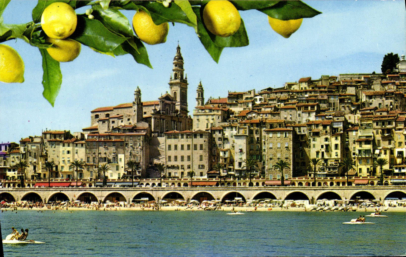 CPM Menton Vue Pittoresque Sur Le Vieux Menton Citron