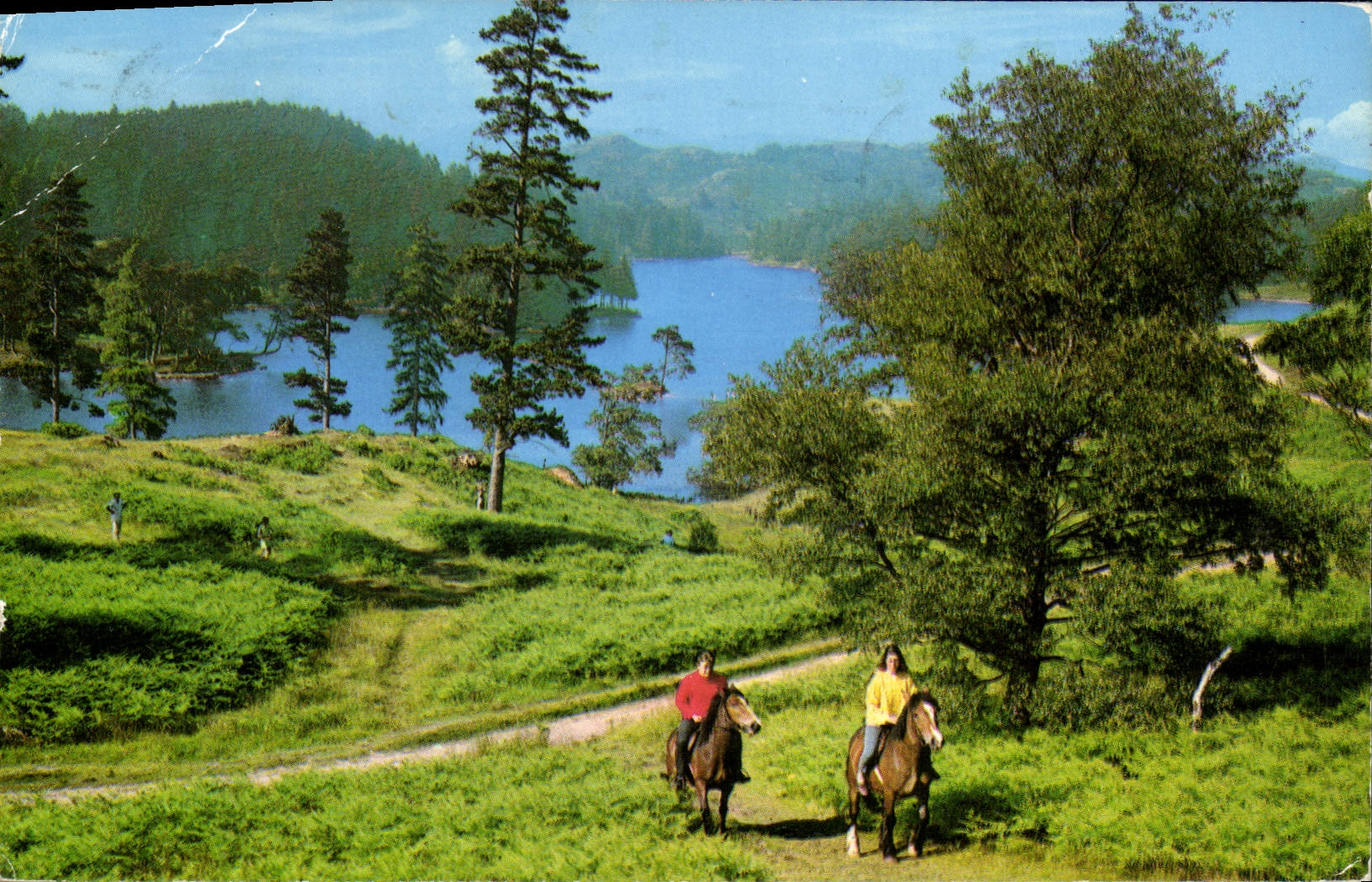 CPM Tarn Hows Chevaux