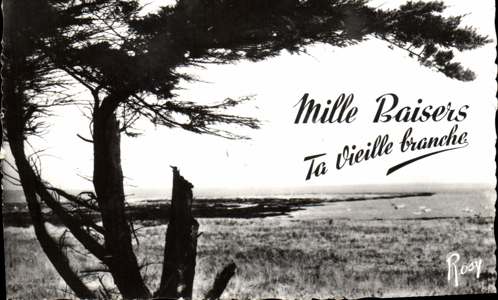 CPM Mille Baisers Ta Vieille Tranche