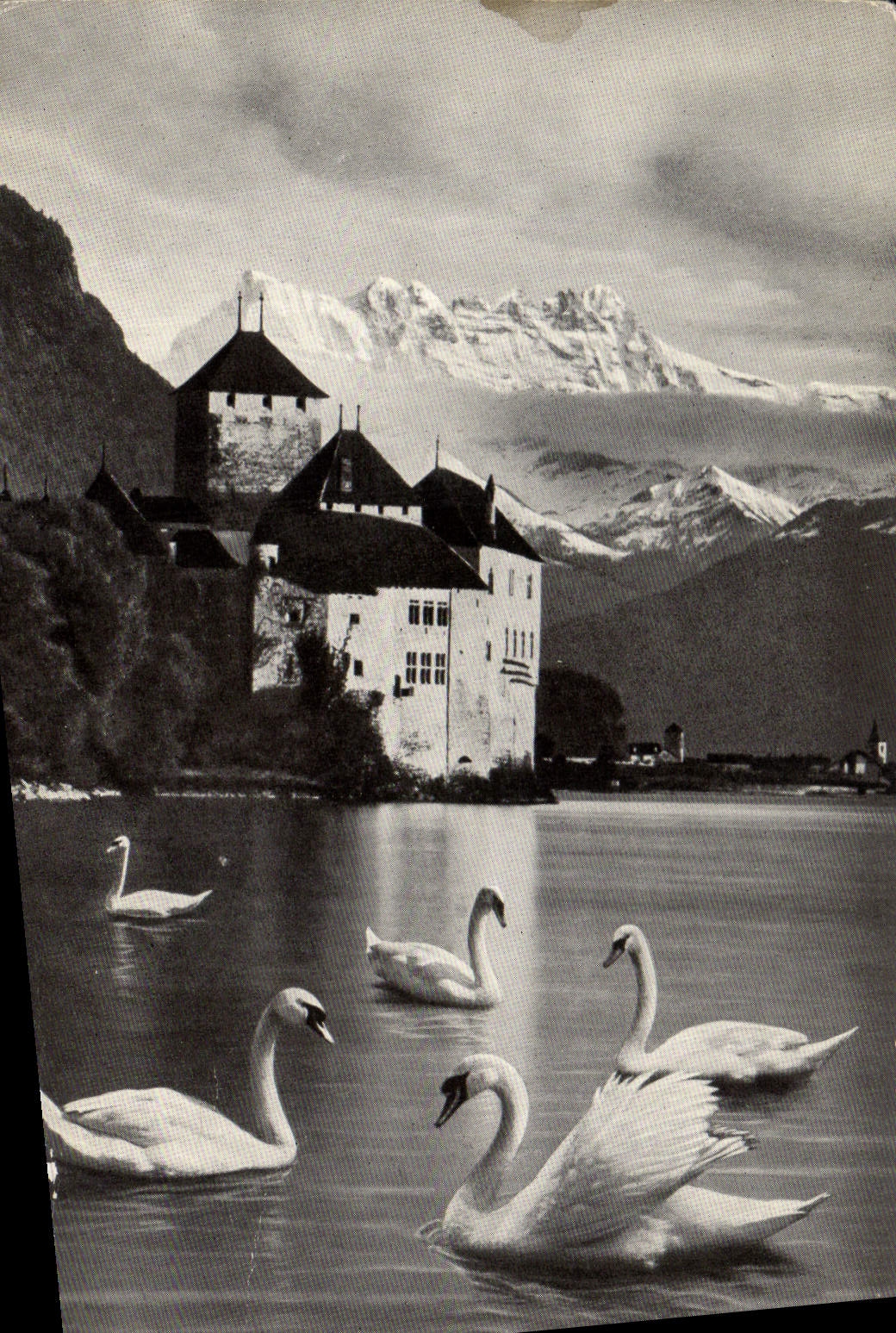 CPM Montreux Chateau De Chillon Et Les Dents Du Midi Cygnes