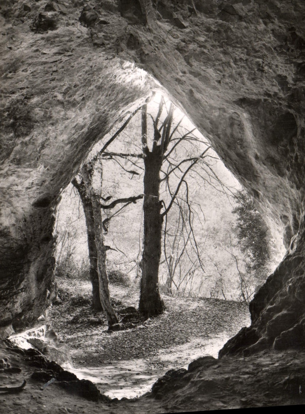 CPM Arcy S Crue La Grotte Des Fees