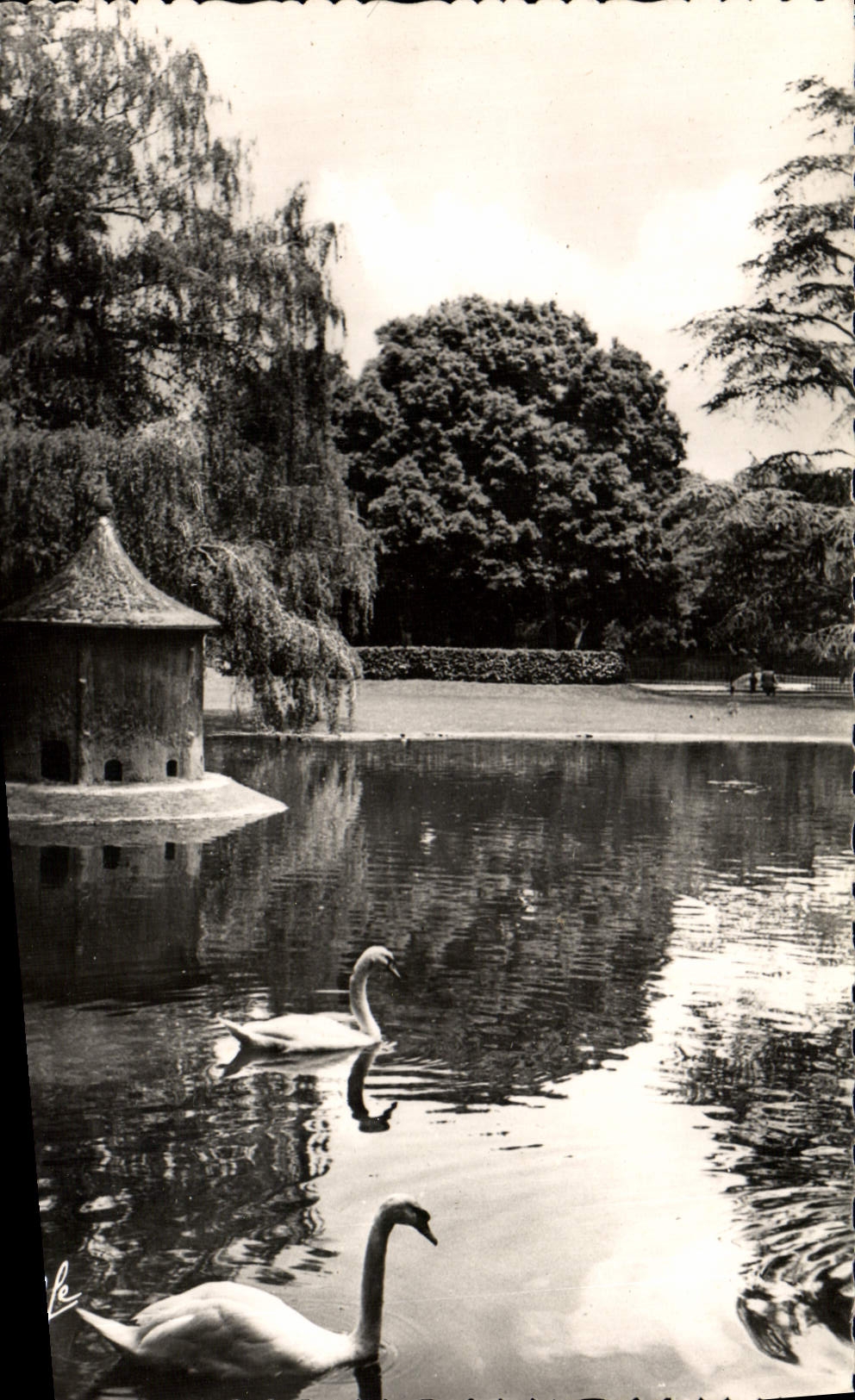 POSTAL MODERNA Toulouse los cisnes reales del jardín