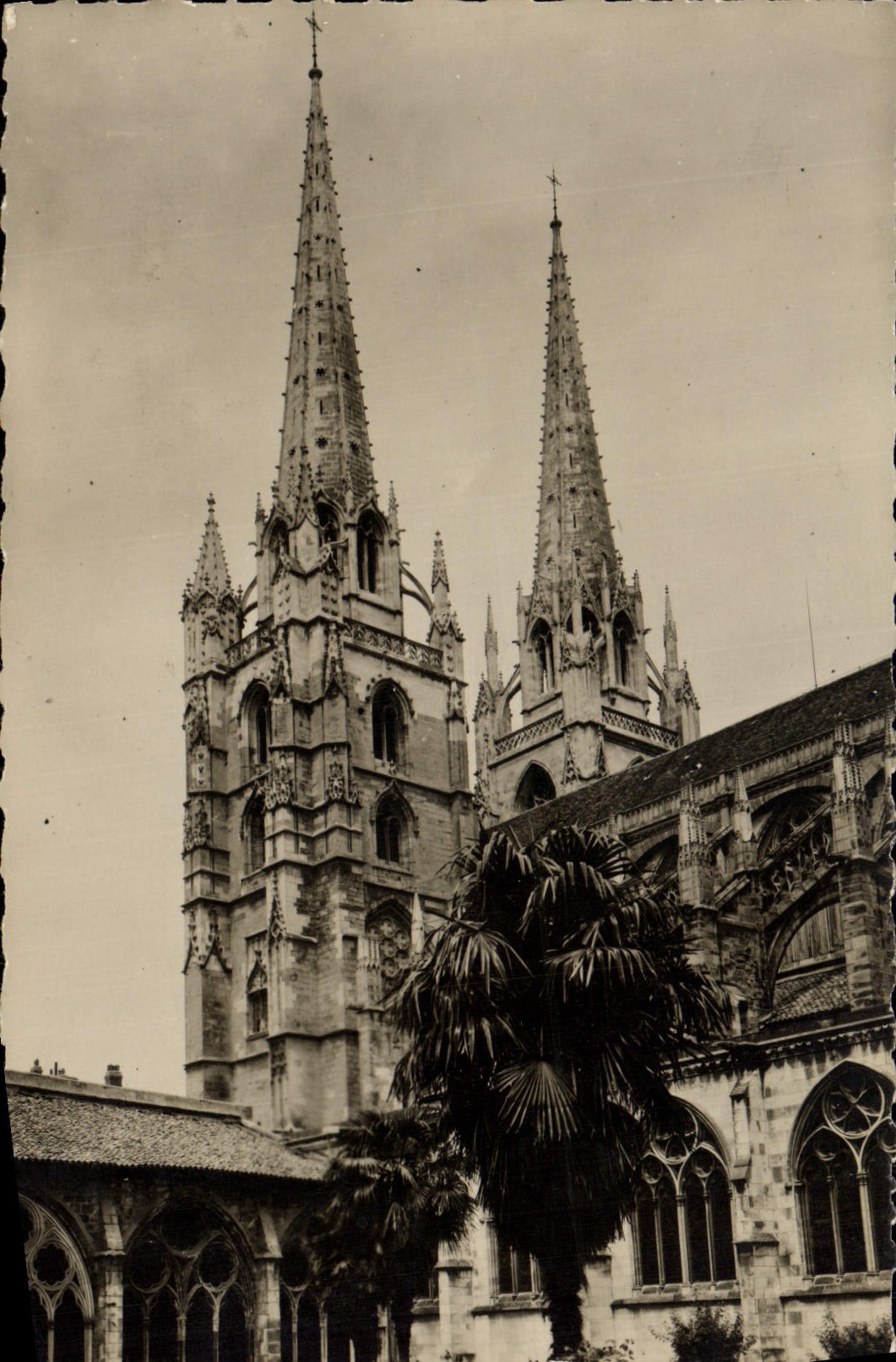 CPM Bayonne La Cathedrale Sainte Marie Et Le Cloitre
