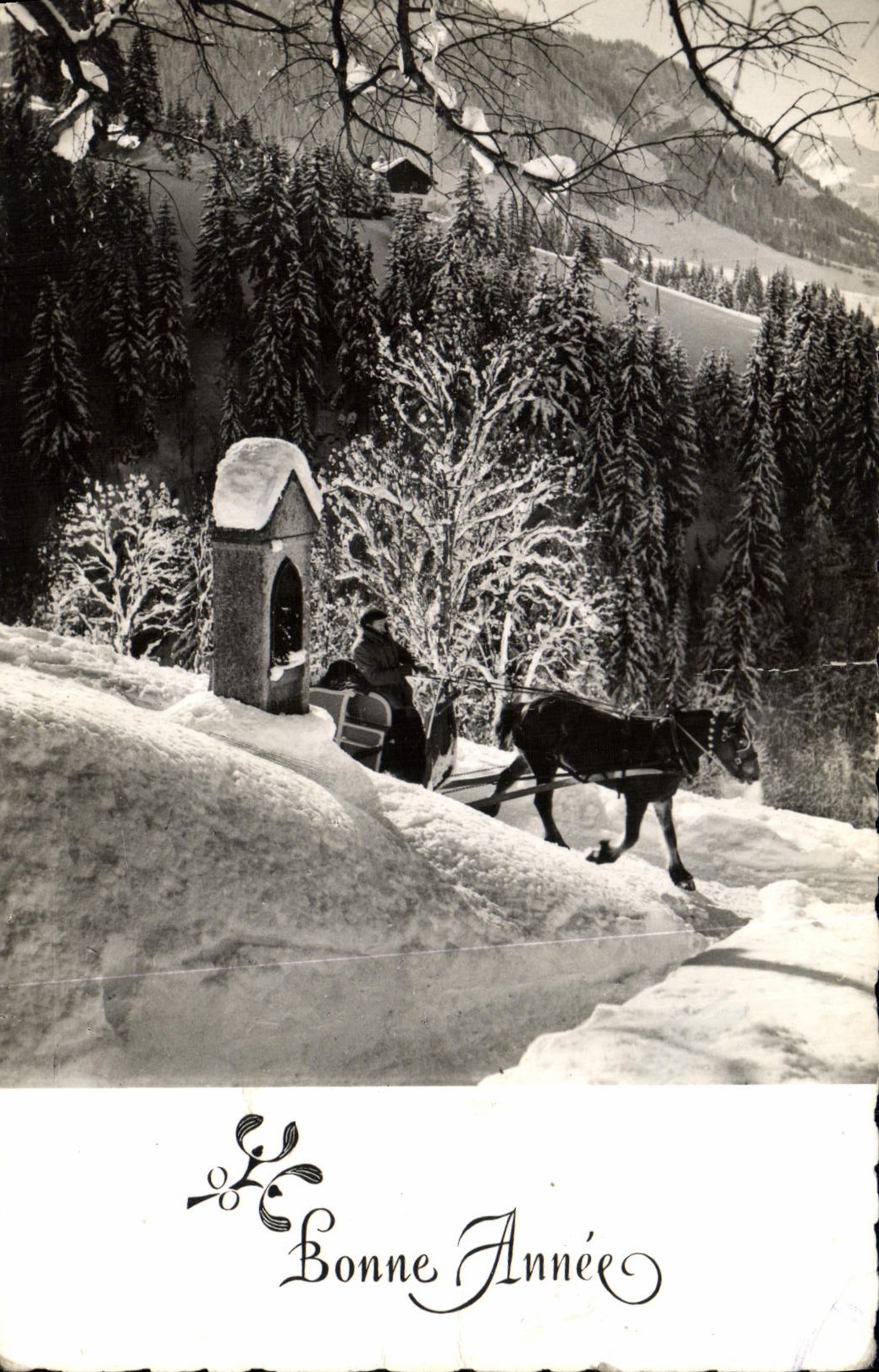 CPM Bonne Annee Traineau Cheval