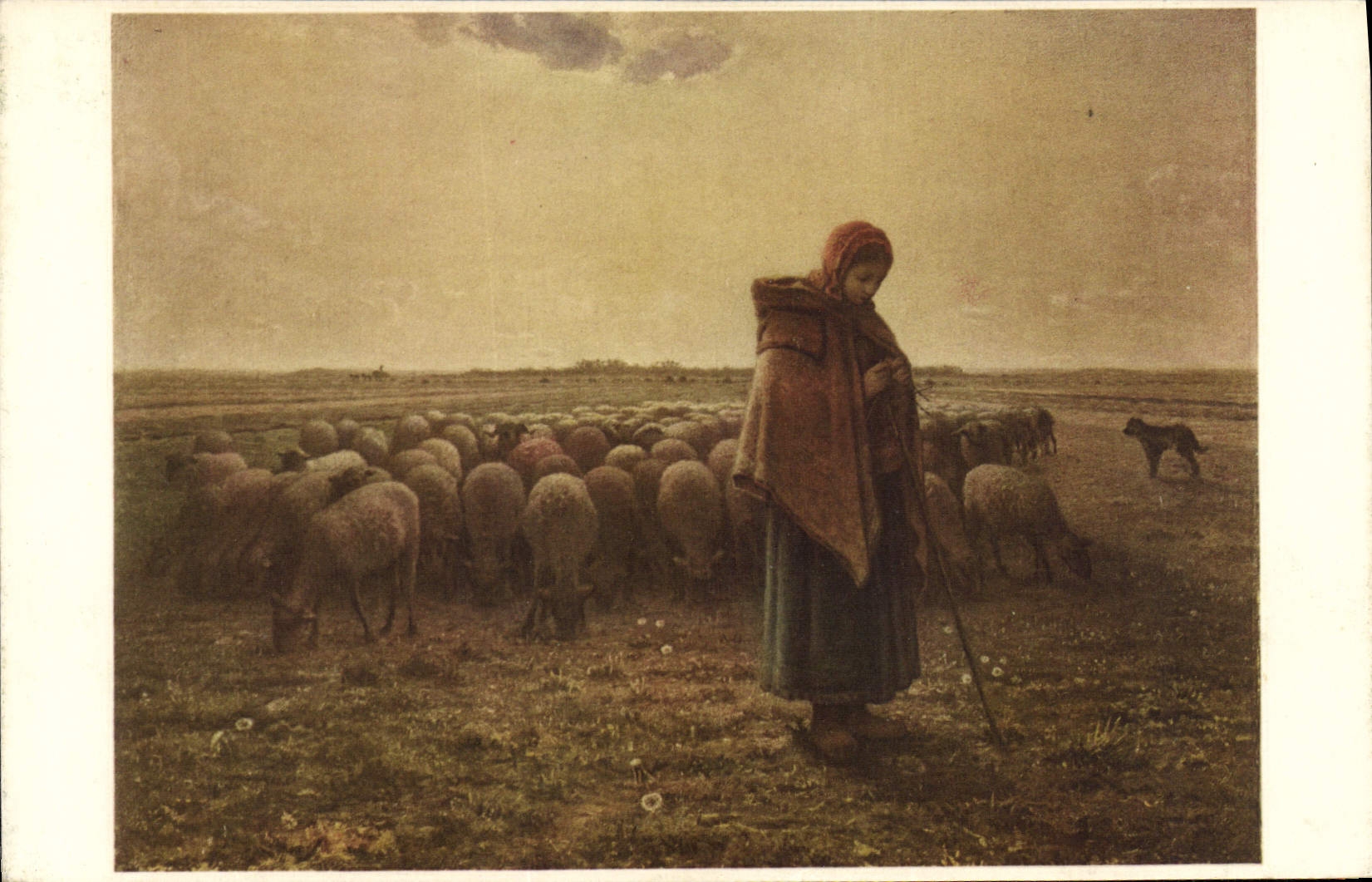 VINTAGE POSTCARD the Shepherdess Millet Sheep