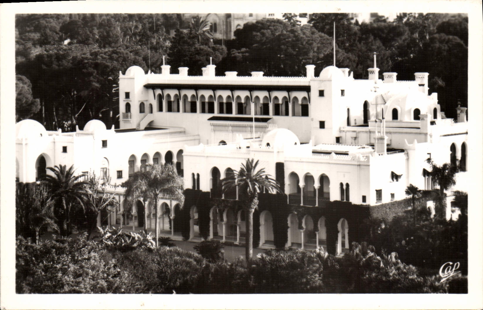 POSTAL MODERNA Argel el paladar del verano del gobernador general