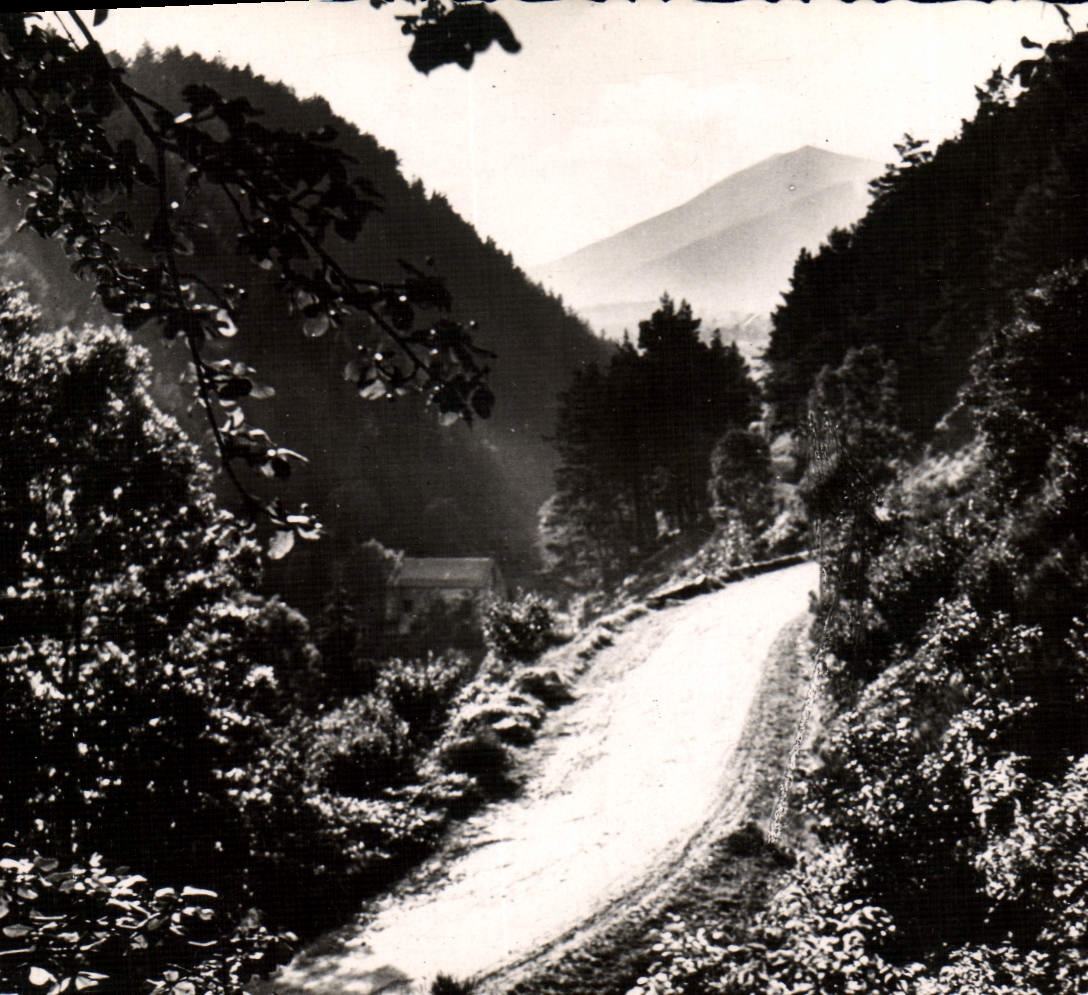 CPM L'Auvergne Route thermale et touristique Saint Nectaire Murols Mont Dore La Bourboule Surains Lac Chambon