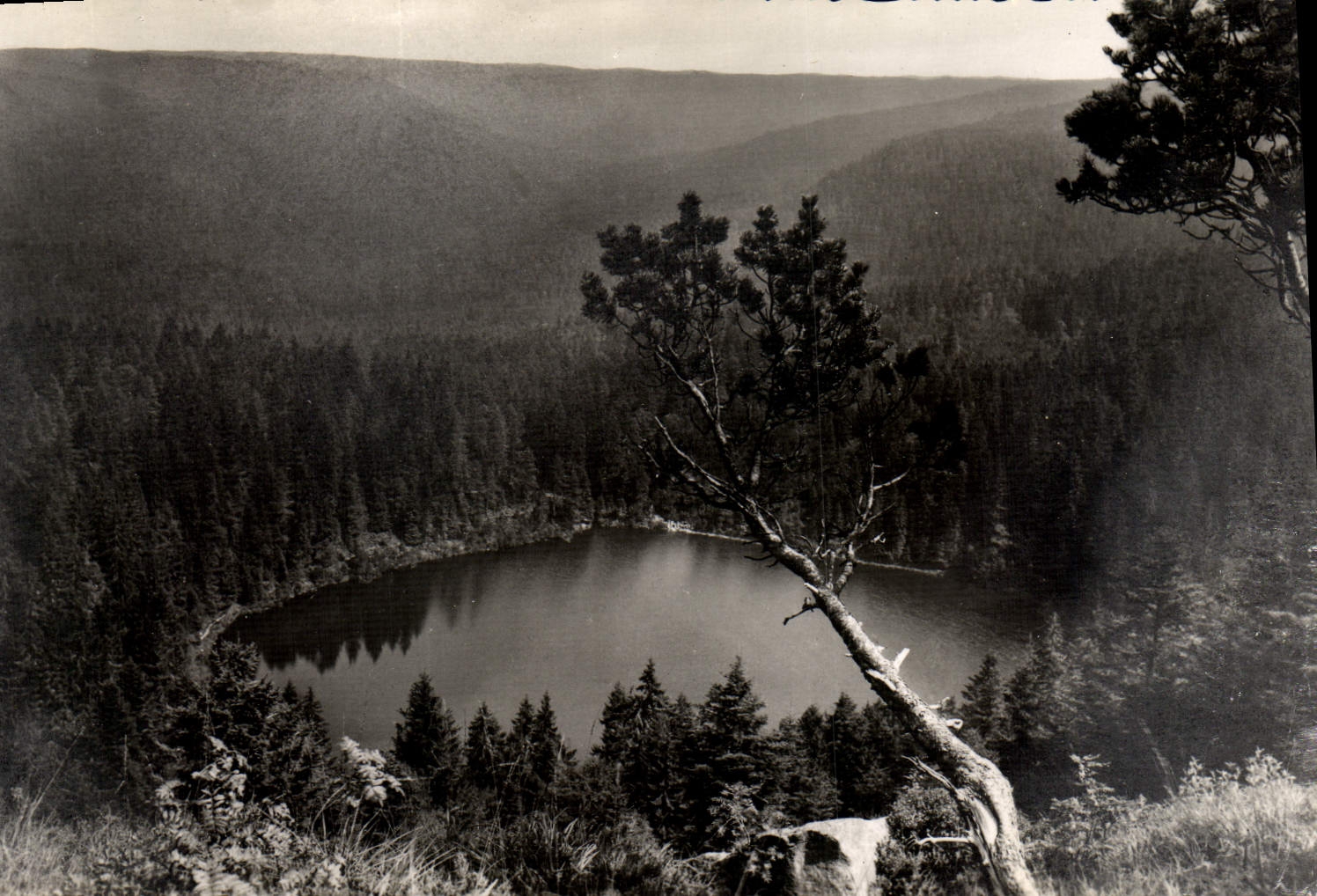 MODERN CARD Ruhestein Der Wildsee