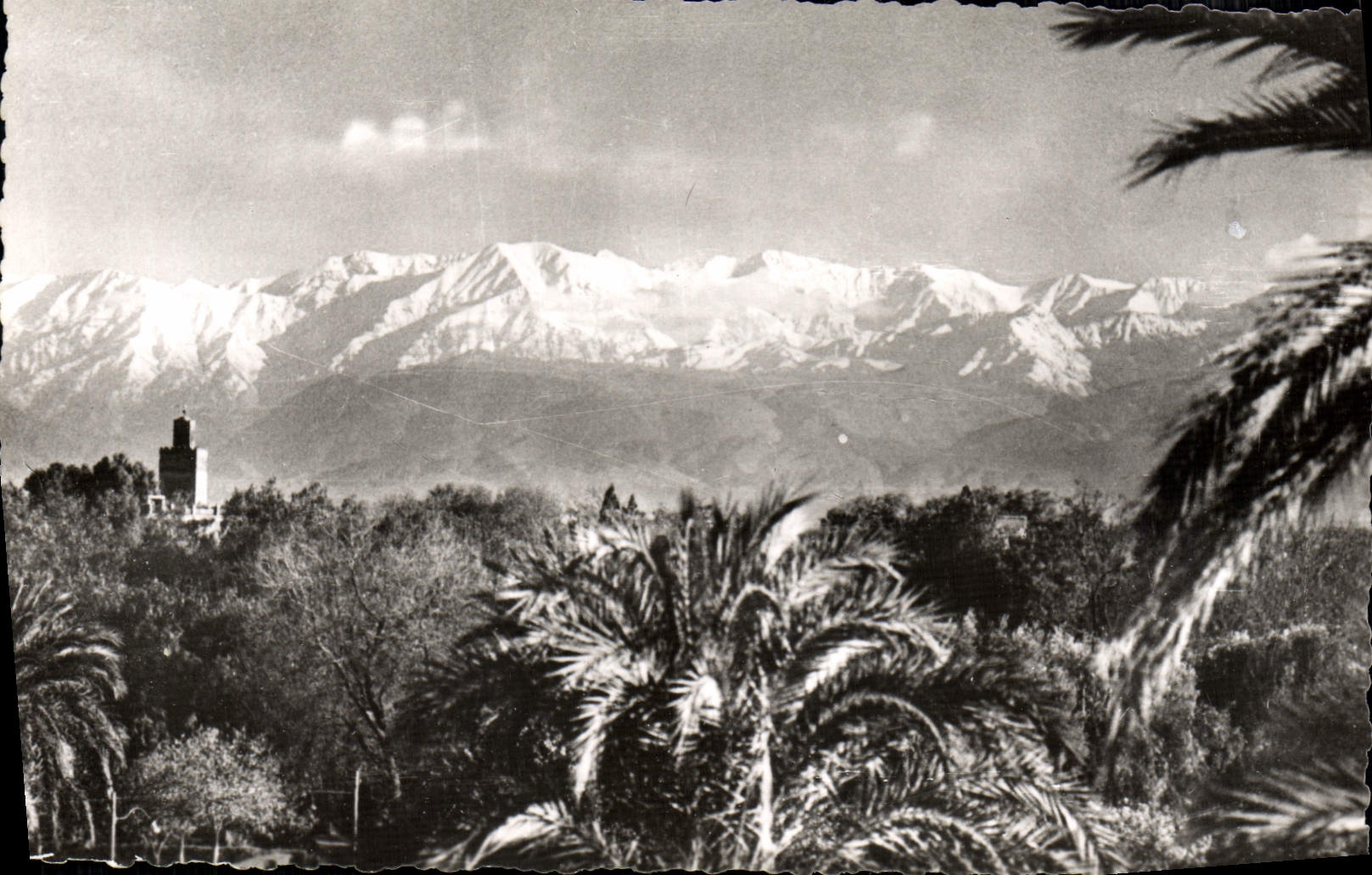 CPM Marrakech L'Atlas Vu de Marrakech