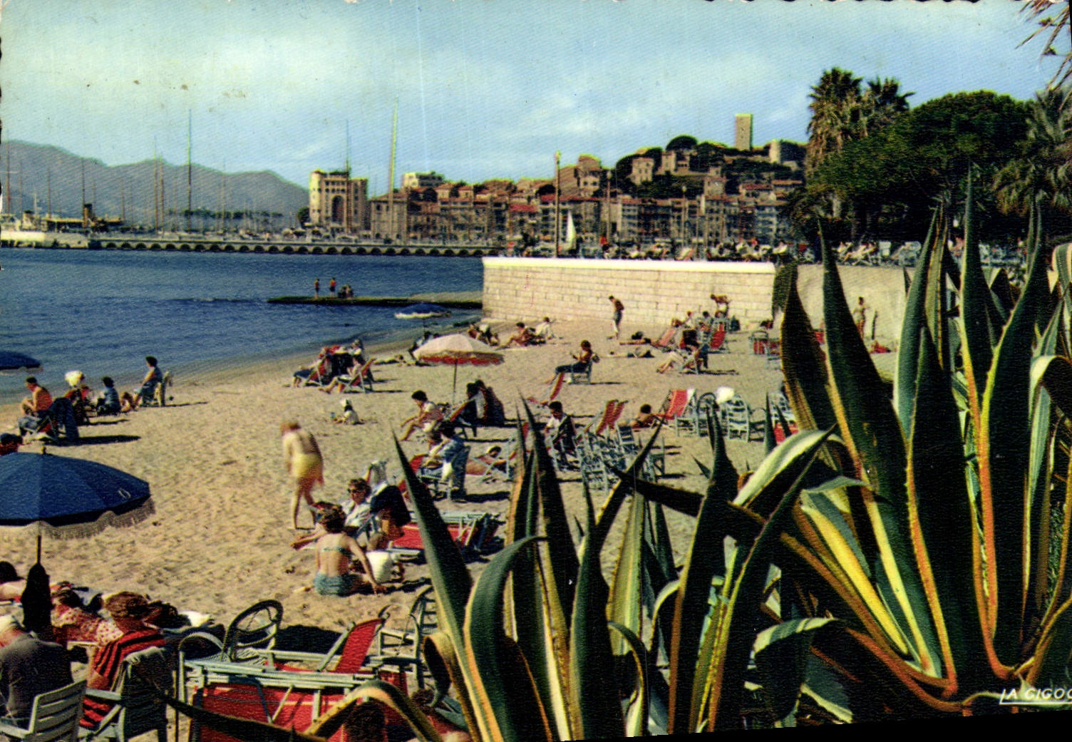 MODERN CARD Cannes Seen On the Beach and Suquet
