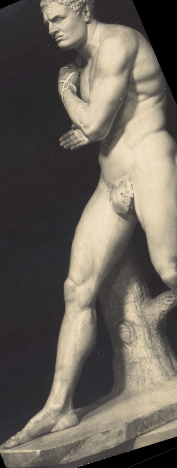 VINTAGE POSTCARD Damossene Museo Vaticano Roma