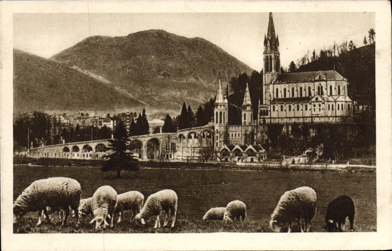 VINTAGE POSTCARD Heavy the Basilica and the Peak Of Jer Sheep