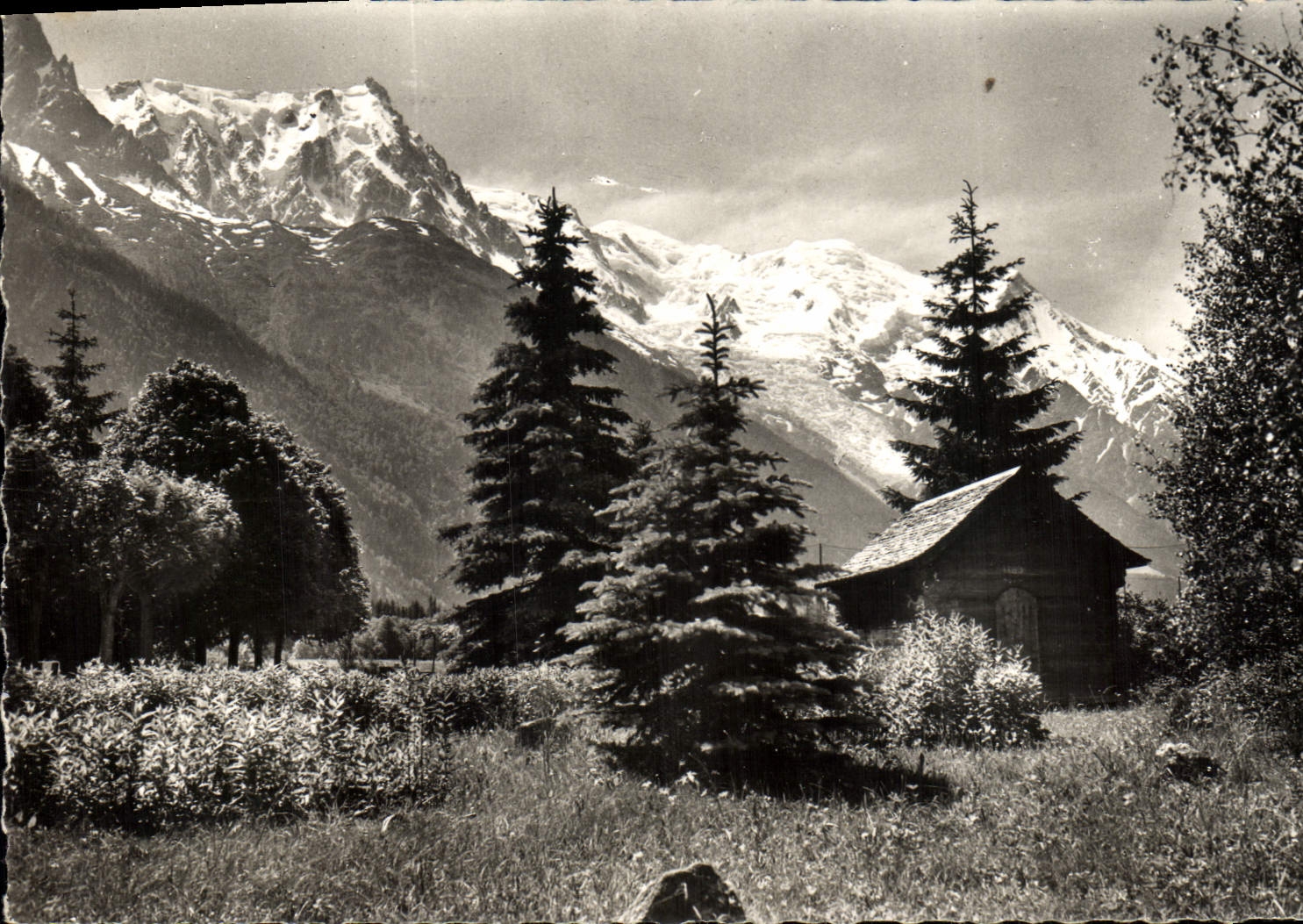 CPM Chamonix Mont Blanc L'Aiguille Du Midi Le Mt Blanc Aiguille du Gouter Hotel regina Prez 