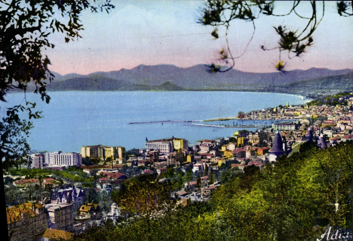 VINTAGE POSTCARD Cannes View the Beach And Suquet